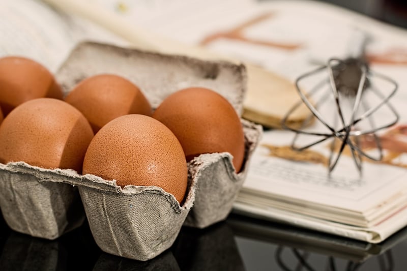 Egg Carton Creations